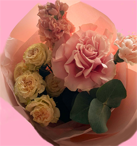 Природа 713.png